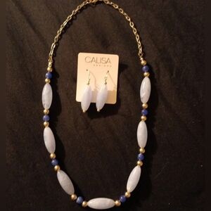 Blue beaded earrings and necklace set